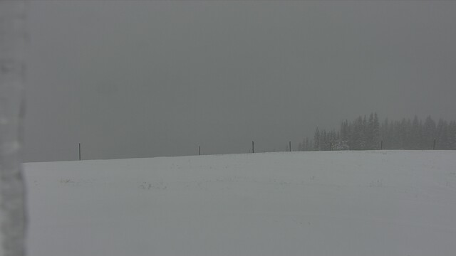 Vail Resort Blue Sky Basin - Vail, CO