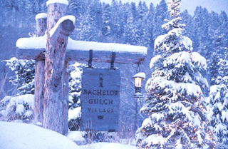 Village Sign