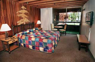 Standard-Room