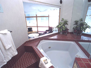 Two Person Jetted Tub