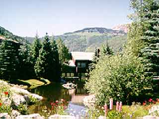 Outside View