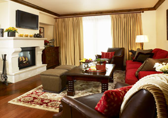 Living Room and Fireplace