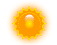 Sunny