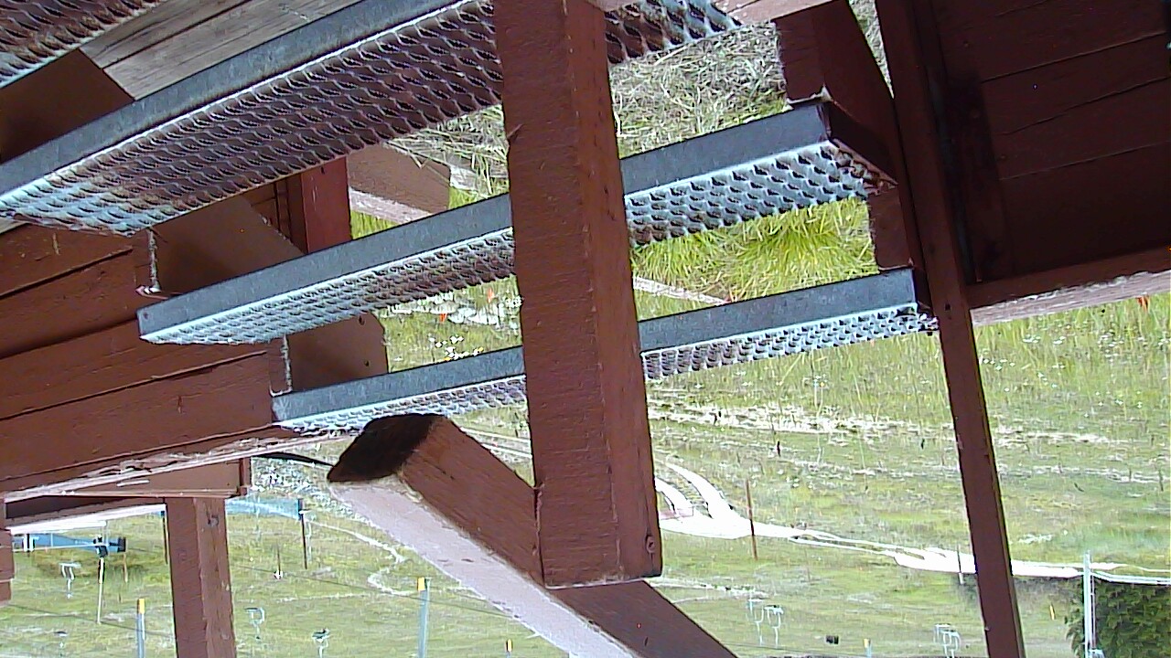 Webcam en Base Peak 8, Breckenridge (Estados Unidos)